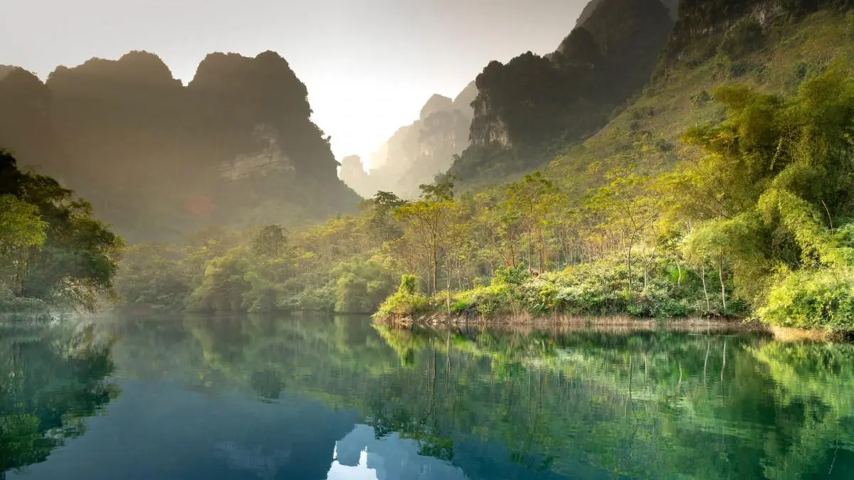 智能智能